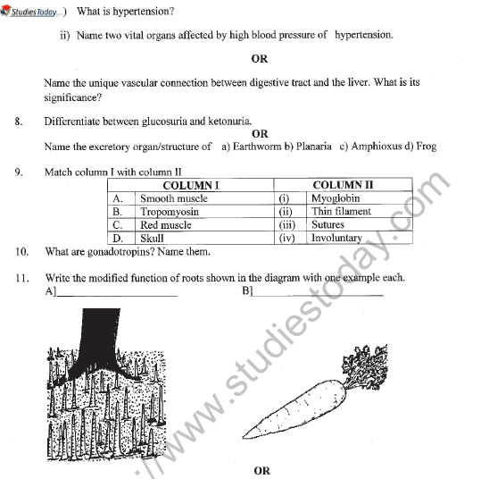 CBSE Class 11 Biology Question Paper Set R Solved